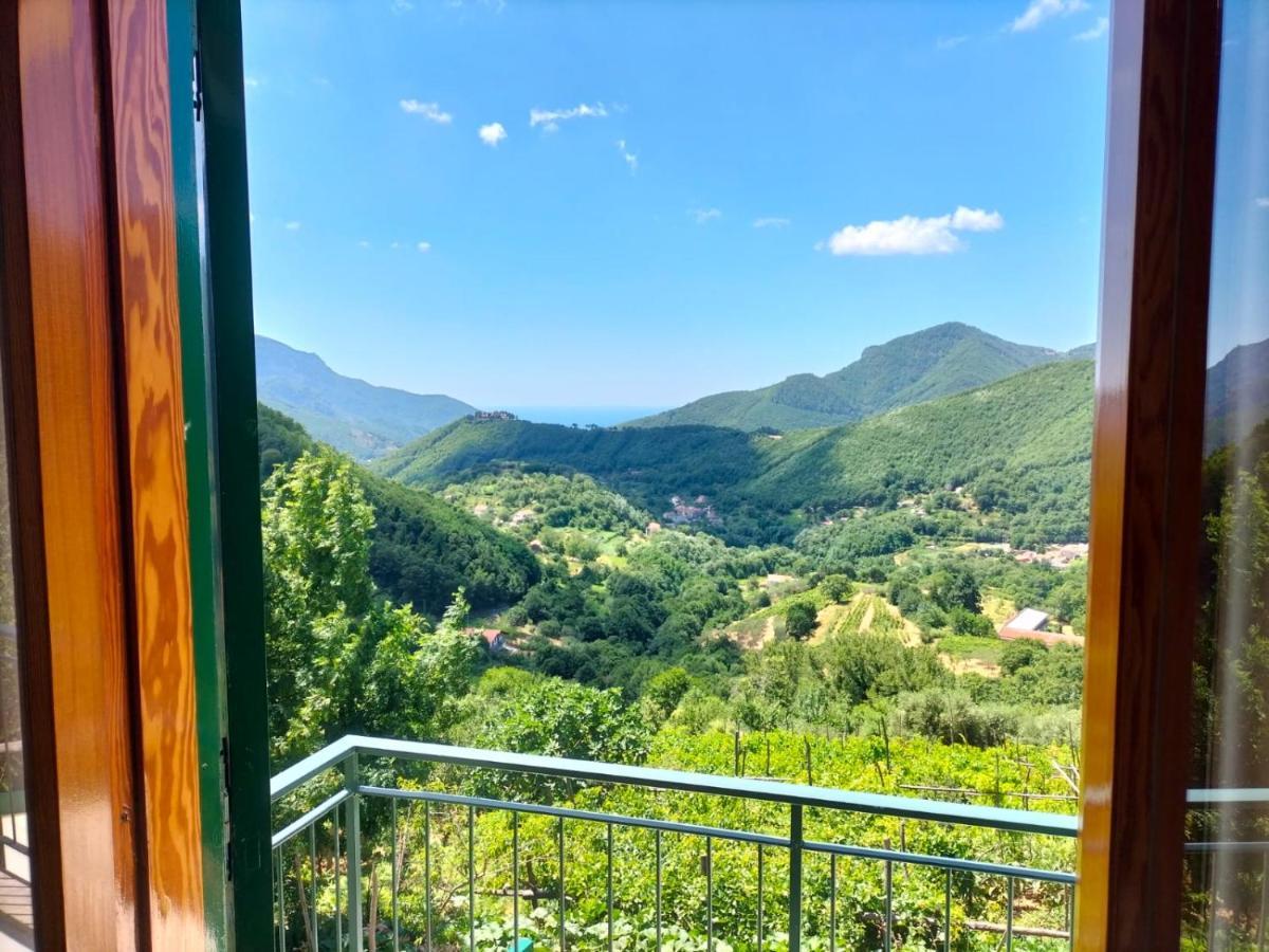 La Casa In Vigna Фермерский дом *